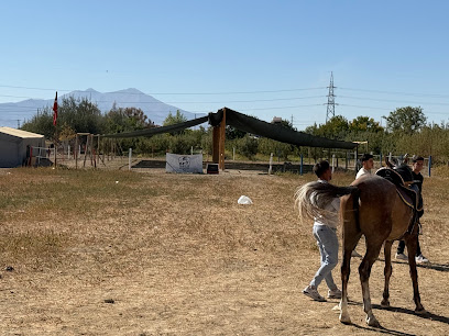 Diriliş At Çiftliği