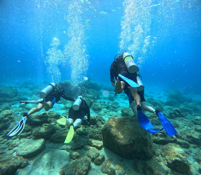 Divers Delight Liberty Scuba Diving Center