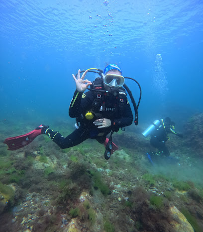 DIVINGTWINS DALIŞ MERKEZİ