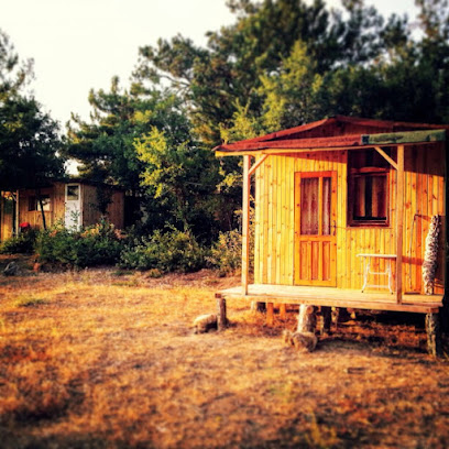 Dodo Camp For Climbers