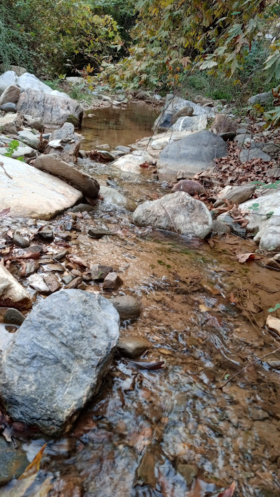 Doğa Harikası Şelale