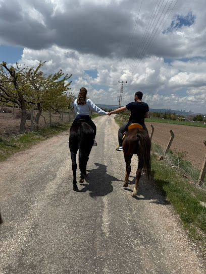 Dolunay Binicilik Kulübü