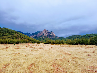 Domuz deresi şelale