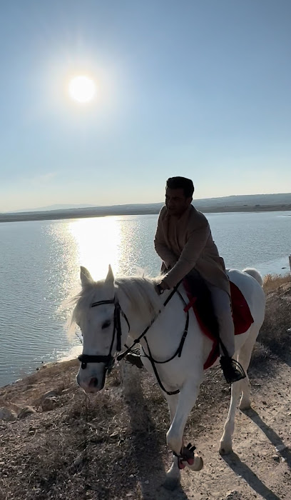 DREAM HORSE BİNİCİLİK VE ATLI SPOR KULÜBÜ