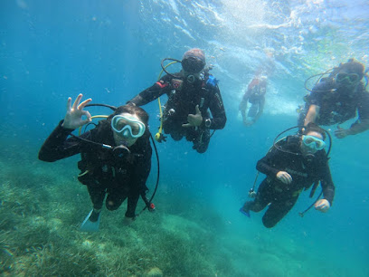 Ege Octopus izmir dalış merkezi