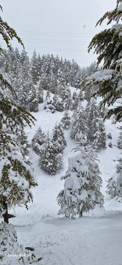 Elazığ Kent Ormanı