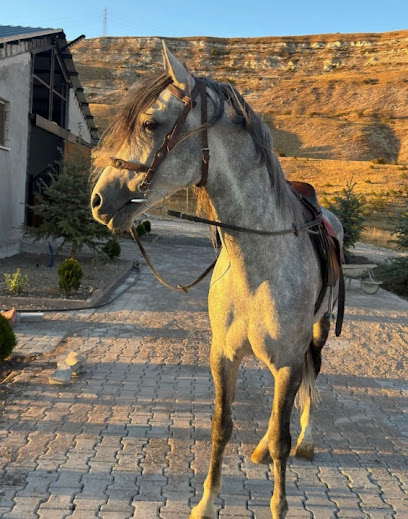 Elit Polo Atlı Spor Kulübü