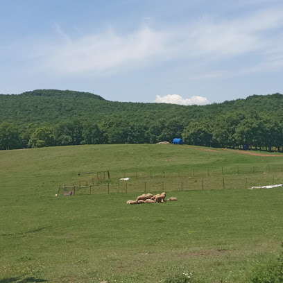 Elmalı dere şelalesi