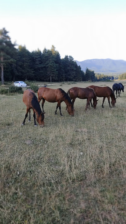 Emine öğretmen Çiftliği