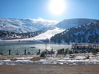 Ergan Dağı Kayak Merkezi