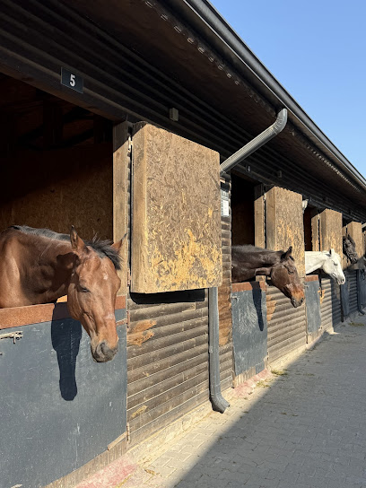 Eskişehir Binicilik Kulübü