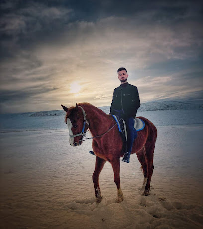 FERES BİNİCİLİK (ATLI SAFARİ TURU)