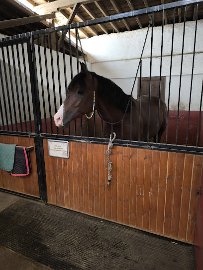 Ferhan Geleneksel Ata Sporları Merkezi