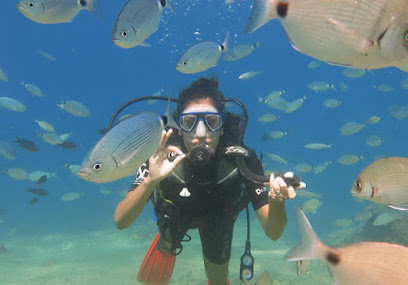 Fethiye Dalış DSD Doğadayız Scuba Diving