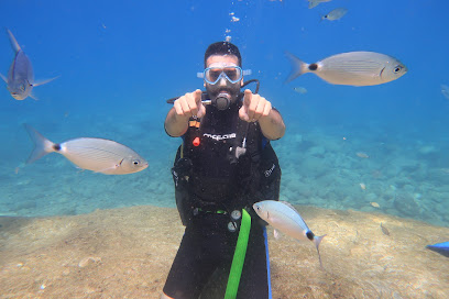 Fethiye Elite Diving Centre