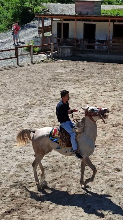 Fırtına Binicilik ve Safari