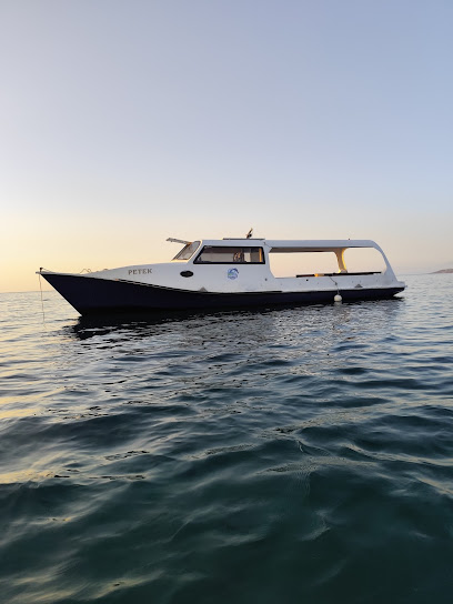 Fish adventure tekne turu