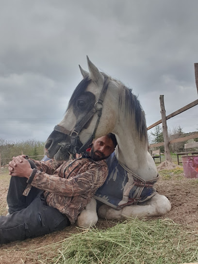 Frigvadisihasanuslu atlı binicilik safari turları