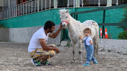 Gazi Binicilik Spor Kulübü & Anadolu Team Gaziantep