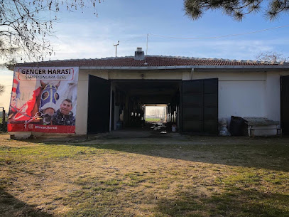 GENCER HARASI