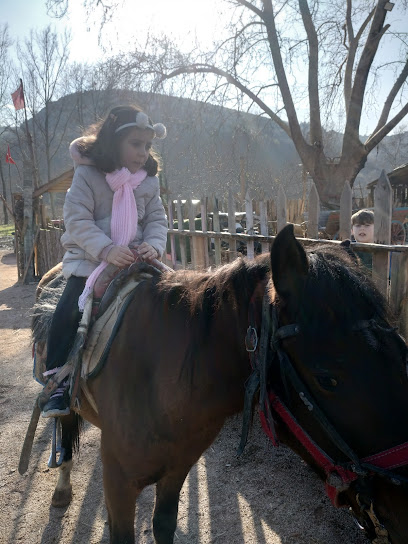 Gizli Vadi Binicilik Kulübü