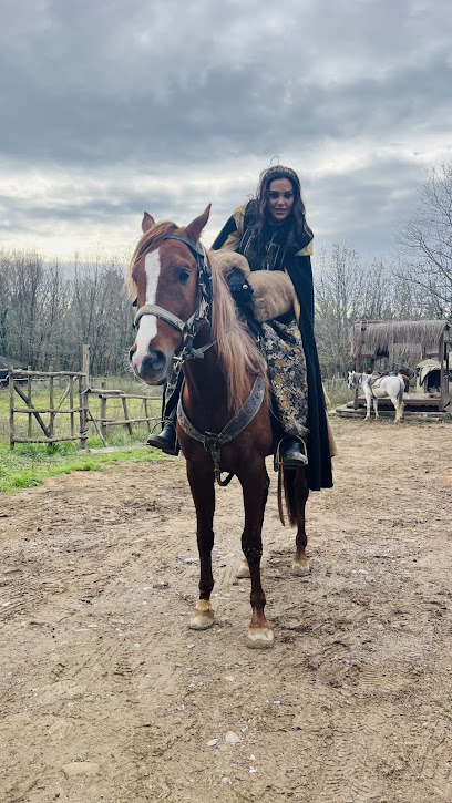 Gökdemir At Çiftliği