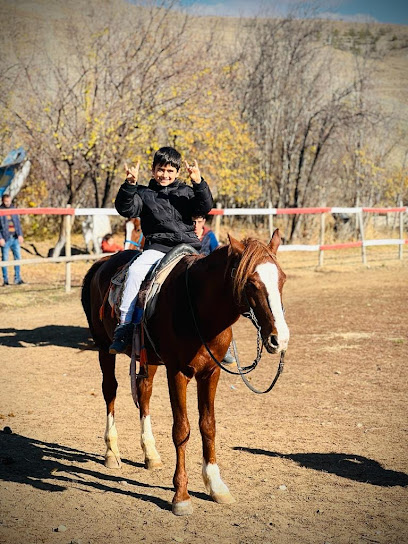 Gökkuşağı Atlı Binicilik