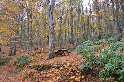 Göldağı Tabiat Parkı