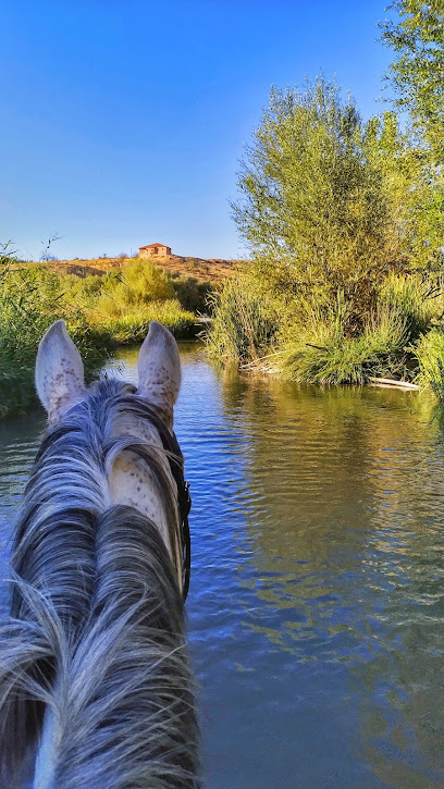 Gölgeyele Binicilik Spor Kulübü