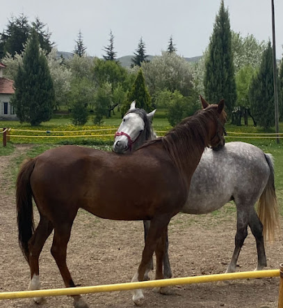 Güçlübey Binicilik Kulübü