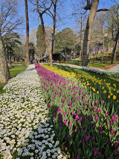 Gülhane Parkı Parkiçi Yolu