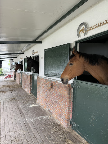 Gürman Binicilik Spor Klubü - Gürman Çiftliği