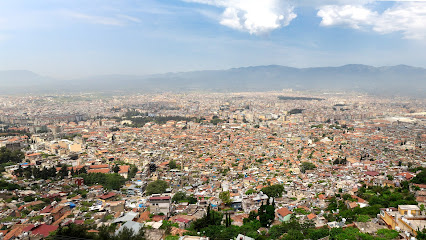 Habibi Neccar Tabiatı Koruma Alanı