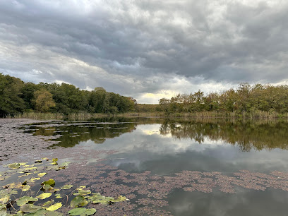 Hamam Gölü Seyir Platformu