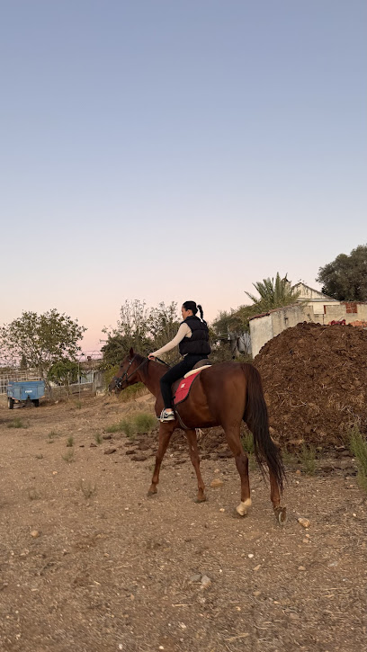 Hanbey At Çiftliği