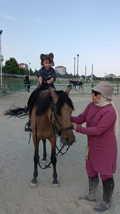 Hara Selçuk Binicilik Akademisi
