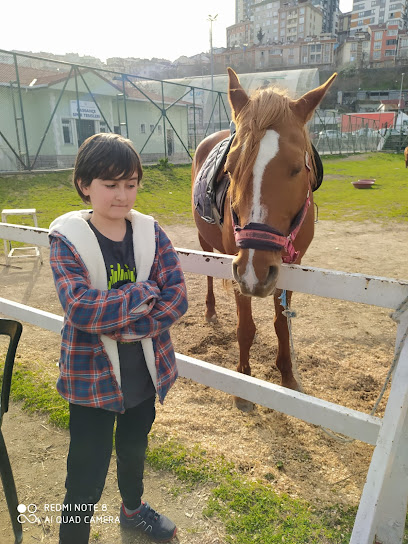 Hasbahçe Park, At Binme
