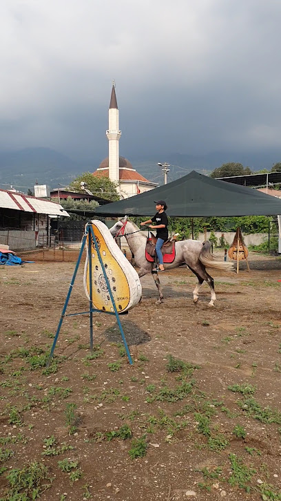 Hatay Binicilik ve Okçuluk Spor Kulübü
