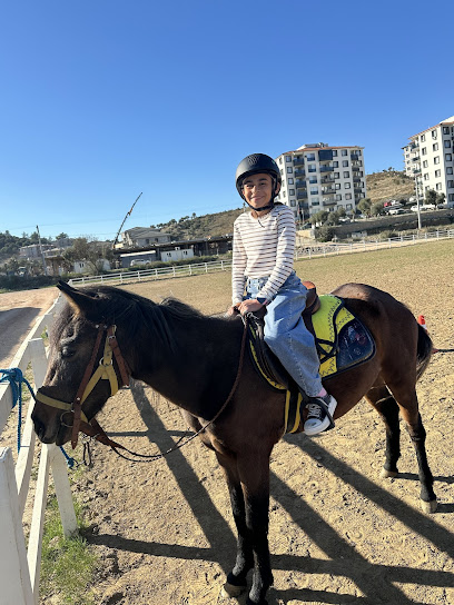 Helvacıoğlu Atlı Spor Kulübü