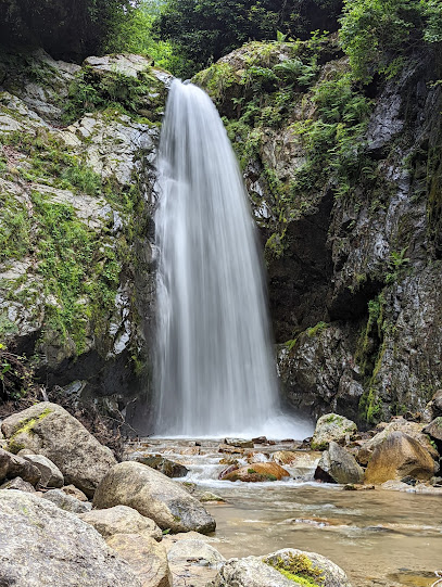Hemşin Şelalesi Tabiat Parkı
