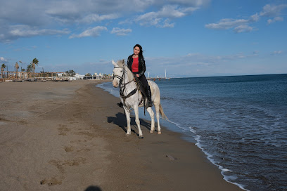 Horse Farm At Safari Antalya