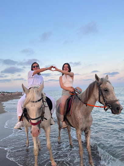 Horse Riding Antalya. Engin At Safari