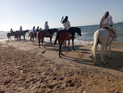 Horse Riding Istanbul (ATLITUR)
