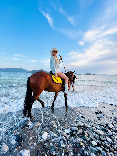 Horseback Fethiye At Turu