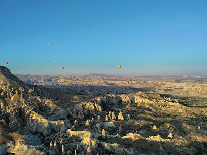Hot Air Balloon landing