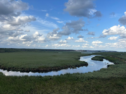 İğneada Longoz Ormanları Milli parkı