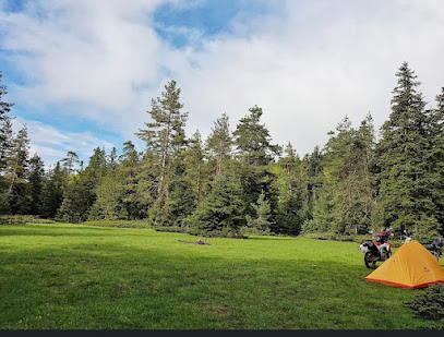 İkizler (oflu)yaylası