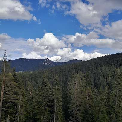 Ilgaz Dağı Milli Parkı