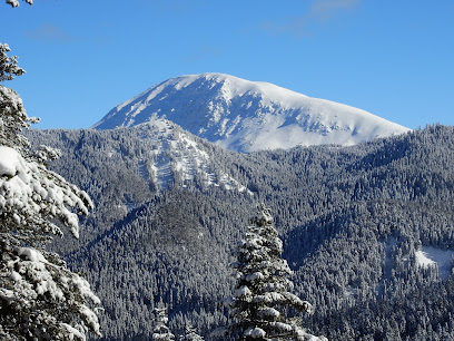 Ilgaz Dağları