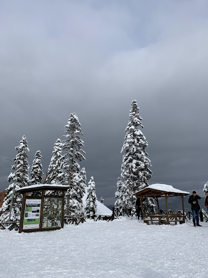 ılgaz doruk kayak merkezi